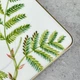 Блюдце Villeroy & Boch Amazonia 17 см (1035141310) - зображення 4