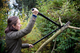 Sekator nożycowy Fiskars SingleStep L L38 82 cm (6411501124609) - obraz 8