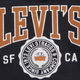 Детское теплое худи на флисе для девочки Levi`s 836551329 92 см Серое (1159842084) - изображение 3