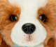 Інтерактивний песик Little Live Pets Латек з кліткою (630996265482) - зображення 7