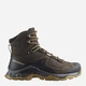 Мужские демисезонные ботинки для туризма с Gore-Tex Salomon Quest Element Gtx L47216100 40.5 (7.5US/7UK) 25.5 см Dlciso/Black/Dul (195751196727) - изображение 1