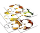 Zestaw do tworzenia tatuaży Interplay na twarzy Party Wild FAC-40133 (5026175190013) - obraz 2