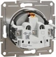 Розетка з заземленням Schneider Electric Asfora Алюміній EPH2900161 - изображение 2