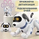 Интерактивная игрушка Песик Робопес TK Group выполняет команды, рассказывает сказку, поет песни, танцует, украинское озвучивание (ТК-12302) - изображение 6
