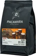 Кофе в зернах PACAMARA Kenya Nyeri 1 кг (4820287550069) - изображение 1