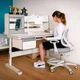 Дитяча парта Mealux Florida Multicolor G Білий / Сірий (Evo-52 WG + G Multicolor) - изображение 2