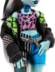 Кукла Monster High Frankie Stein Doll с питомцем HXH73 - изображение 4