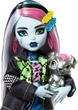Кукла Monster High Frankie Stein Doll с питомцем HXH73 - изображение 5