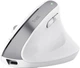 Мышь Trust 25399_TRUST Bayo+ Multidevice Ergonomic, BT/WL/USB-A, біла - изображение 10
