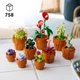 Конструктор Лего Иконс Миниатюрные Растение Lego Icons Mini Plants 10329 - изображение 11
