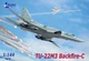 Самолет Ту-22М3 Litaki (144002) - изображение 1