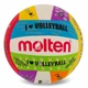 Волейбольный мяч Molten "I love Volleyball" MS500-ULUV - изображение 1