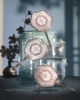 Дзеркало з ручкою від Flower Knows з колекції Butterfly Cloud Collar (Floral Cyan) - зображення 3