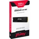 SSD диск Kingston Fury Renegade G5 1TB M.2 NVMe (SFYR2S/1T0) - изображение 4