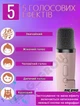 Дитячий нічник колонка караоке Magic Karaoke з двома бездротовими мікрофонами Рожевий - зображення 2