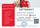 Аптечка медицинская автомобильная Poputchik АМА-1 согласно ДСТУ 3961-2000 с турникетом «Днепр» и шинами иммобилизационными мягкий футляр (02-097-М) - изображение 10
