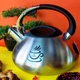 Чайник со свистком для индукционной плиты Edenberg EB-3540 из нержавеющей стали 3 л черный - изображение 1