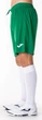 Шорты Joma NOBEL зеленый Муж 2XL-3XL (100053.450) - изображение 5