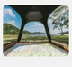 Палатка трехместная автоматическая Naturehike Ango CNK2550WS010 S Коричневая (6927595785591) - изображение 2