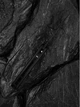 Нож складной Civivi Triptych Black C23085B-1 - изображение 17