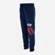 Детские спортивные штаны для мальчика Disney Spiderman HY10100.NAVY 128 см Нави (3609088179812) - изображение 3