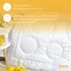 Одеяло всесезонное полуторное Air Dream Exclusive 155х210 см IDEIA двойное супер теплое дабл антиаллергенное - изображение 6