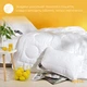 Одеяло всесезонное полуторное Air Dream Exclusive 155х210 см IDEIA двойное супер теплое дабл антиаллергенное - изображение 3