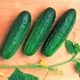 Семена огурца Феникс 640 Gl Seeds 5 г - изображение 1