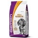 Сухой корм GEMON DOG Mini Puppy & Junior курица с рисом - 3 кг - изображение 1