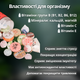 Порционный китайский чай Пуэр, чайное ассорти из 30 шт Small Tea Cake 185 г - изображение 2