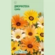 Насіння діморфотеки Африкан Мун Seedera 0,2 г - зображення 2