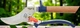 Cекатор Opinel Hand Pruner (Blue) - изображение 1