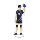 Акриловая фигурка Волейбол!! Тобио Кагеяма Haikyuu!! Tobio Kageyama 16 см (931C8F05A144) - изображение 1