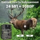 Фотопастка Suntek HC808A 24МП 1080P 25м, огляд 120°, IP65 автономна камера спостереження мисливська з екраном Full HD 1080P і записом звуку - зображення 3
