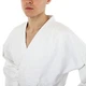Кимоно для дзюдо белое MIZUNO кимоно для единоборств детское взрослое 475 г на м2 JD05 размер 3 (рост 160) - изображение 16