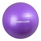 Фітбол м'яч для фітнесу Profi ball 55 см фіолетовий - зображення 1
