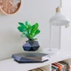 Магнітний левітаційний горщик для рослин HCNT Magnetic Levitating Pot M10-PZ1 Black (SIM10-PZ1) - зображення 4