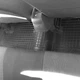 Автомобильные коврики в салон на Daewoo Lanos 98- 4шт черные Avto-Gumm Дэу Ланос АМ0014587 - изображение 7