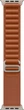 Ремешок Apple Alpine Loop Natural Titanium Finish для Apple Watch 44/45/46/49mm M Terra Cotta (MFTC4ZM/A) - изображение 1