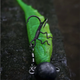 Крючок тройной для стингера BKK Treble Assist Spear-21 SS №1/0 (4шт) - изображение 3