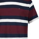 Подростковая футболка для мальчика Tommy Hilfiger 916828998 152 см Разноцветная (1159843469) - изображение 3