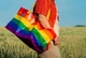 Водонепроницаемая подарочная сумка Радужный ЛГБТ для покупок Rainbow LGBT IKEA, 71 л - изображение 8