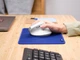Trust Миша Trust Bayo II Ergonomic, WL, білий - изображение 9