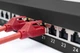 Digitus Патч-панель DIGITUS CАТ 6А STP, 19", 1U, 24 порта, в сборе, черная - изображение 5