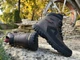 Спортивные кожаные ботинки на меху Timberland Waterproof 40 - изображение 3