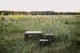 Стул Tribe Camp Chair Low пластиковый, olive - изображение 15