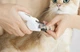 Кусачки Petkit LED Pet Nail Clipper Pro (PK2302) - изображение 19