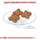 Сухой корм Royal Canin Mini Adult для собак мелких пород старше 10 месяцев 2 кг - изображение 4
