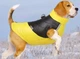 Жилет для собак "АРЧІ" Yellow Size S - изображение 4