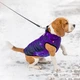 Куртка для собак WAUDOG Clothes NASA21 фиолетовый принт «космос» размер M50, спина 45–50 см, шея 55–60 см, грудь 76–78 см, арт. 0950-0148 - изображение 1